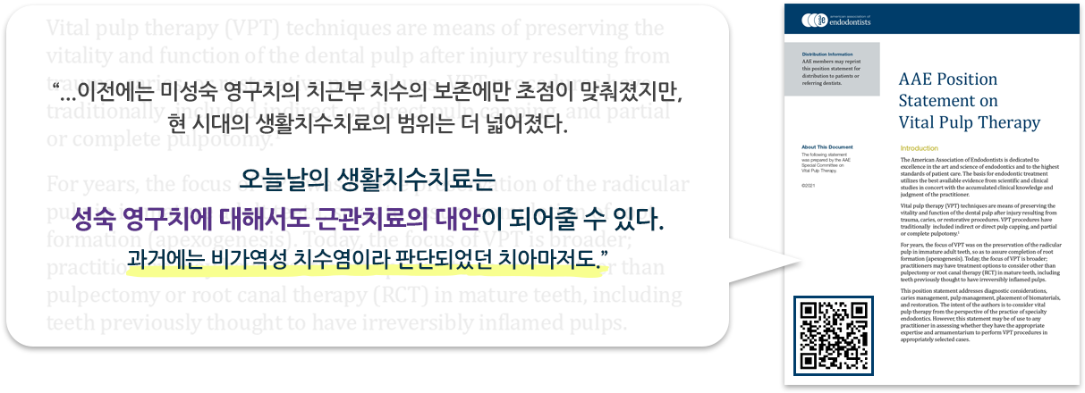 “...이전에는 미성숙 영구치의 치근부 치수의 보존에만 초점이 맞춰졌지만, 현 시대의 생활치수치료의 범위는 더 넓어졌다. 오늘날의 생활치수치료는 과거에는 비가역성 치수염이라 판단된 치아에도, 성숙 영구치에 대해서도 근관치료의 대안이 되어줄 수 있다.”